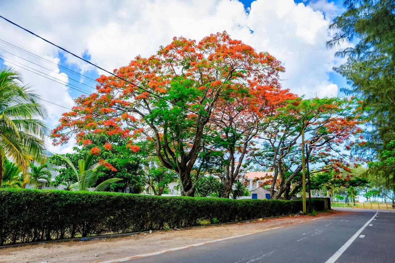Filles Des Iles Villa Mont-Choisy Bagian luar foto
